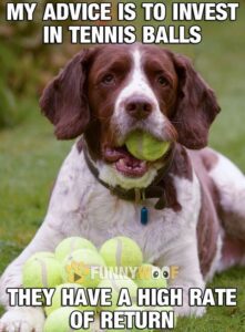 Funny Tennis Memes - Easy Family Fun- Print-and-Play Family Fun Hub