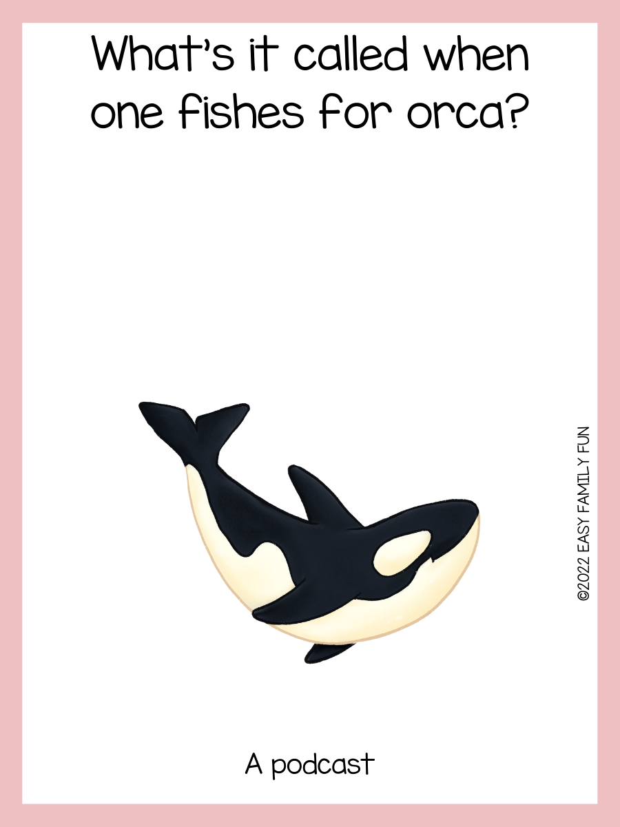 110 Orca Puns - Easy Family Fun- Games, Trivia, and Jokes