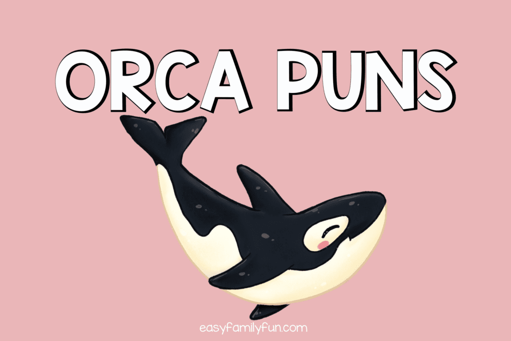 orca puns to make you laugh out loud