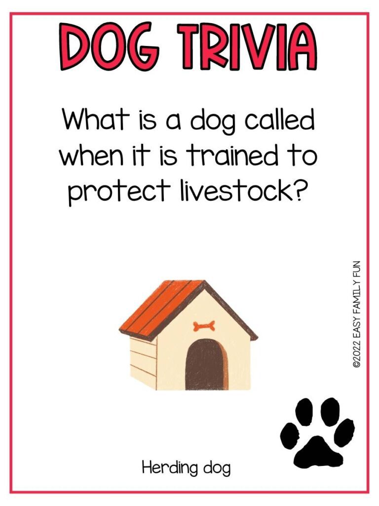 Trivia question with a doghouse and a black pawprint, and a red border.