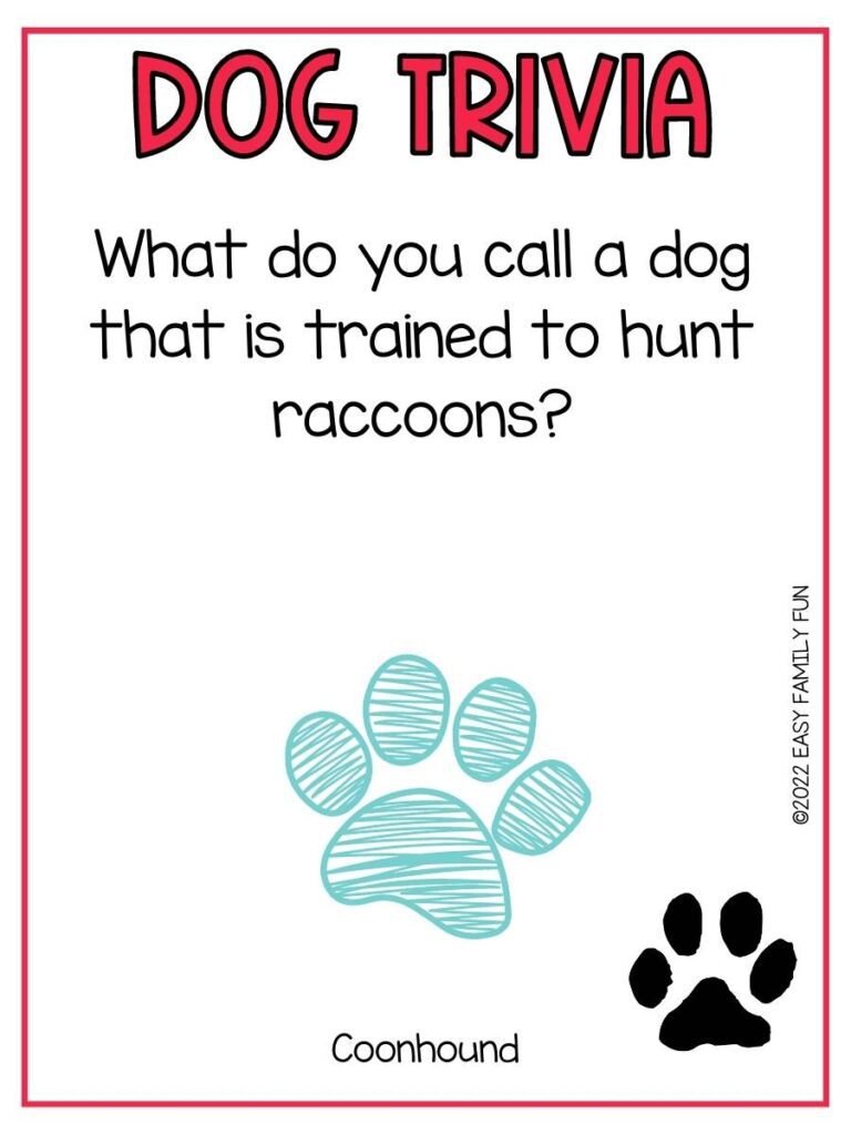 Trivia question with a teal pawprint, a black pawprint, and a red border.