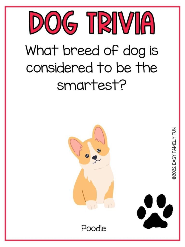 Trivia question with a yellow and white dog and a black pawprint, and a red border. 