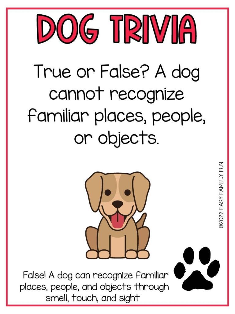 Trivia question with a brown dog and a black pawprint, and a red border. 