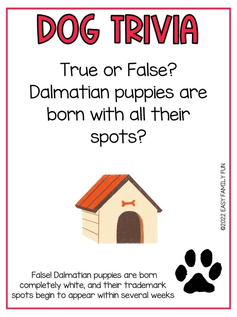Trivia question with a dog house and black paw print with a red border.