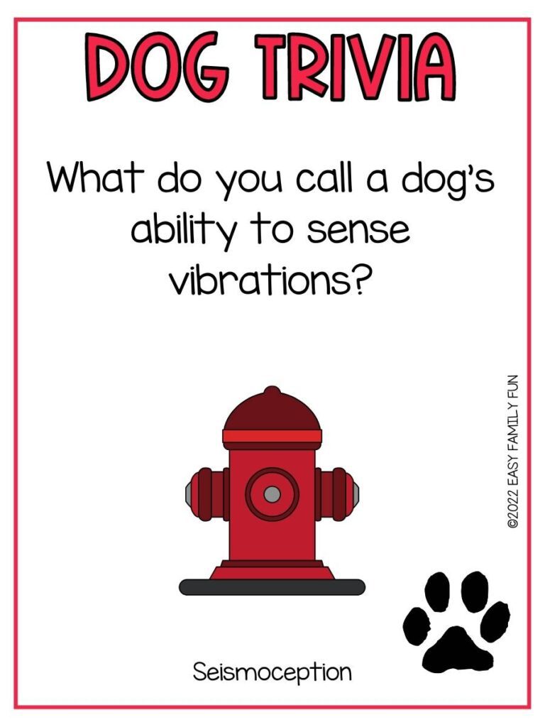 Trivia question with a red fire hydrant and black pawprint, and a red border.