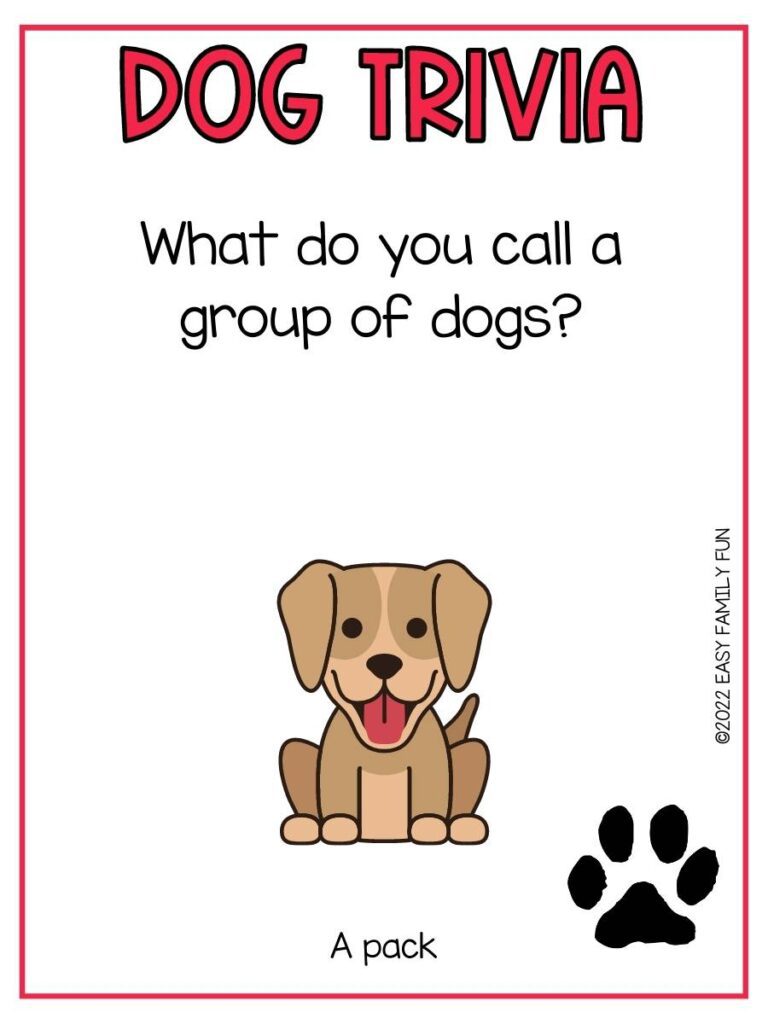 Trivia question with a brown dog and a black pawprint and a red border.