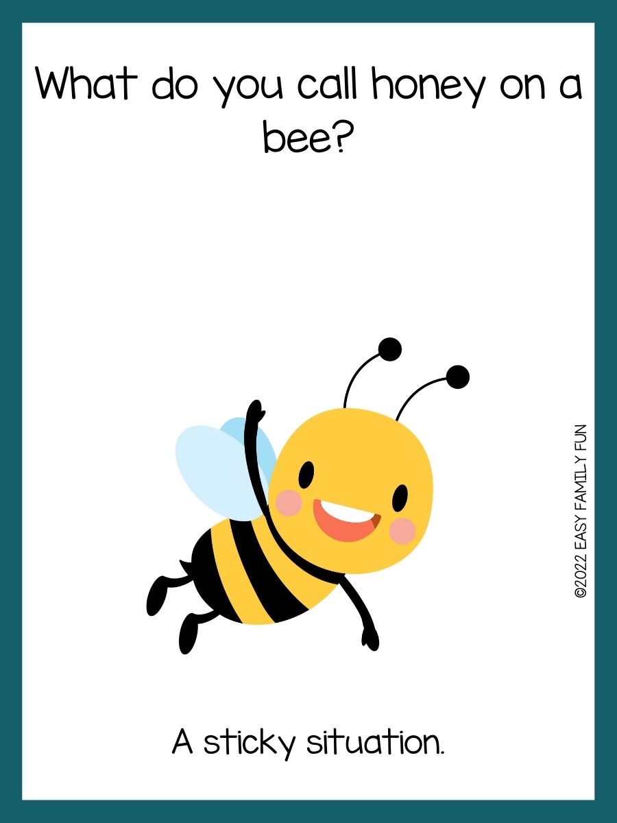 205 Awesome Bee Jokes To Make You Lol