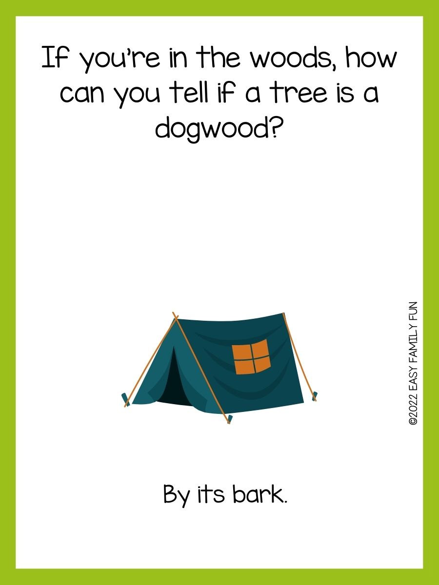 75 Camp Jokes For Kids That Are In-TENTS-ly Silly! - Easy Family Fun ...