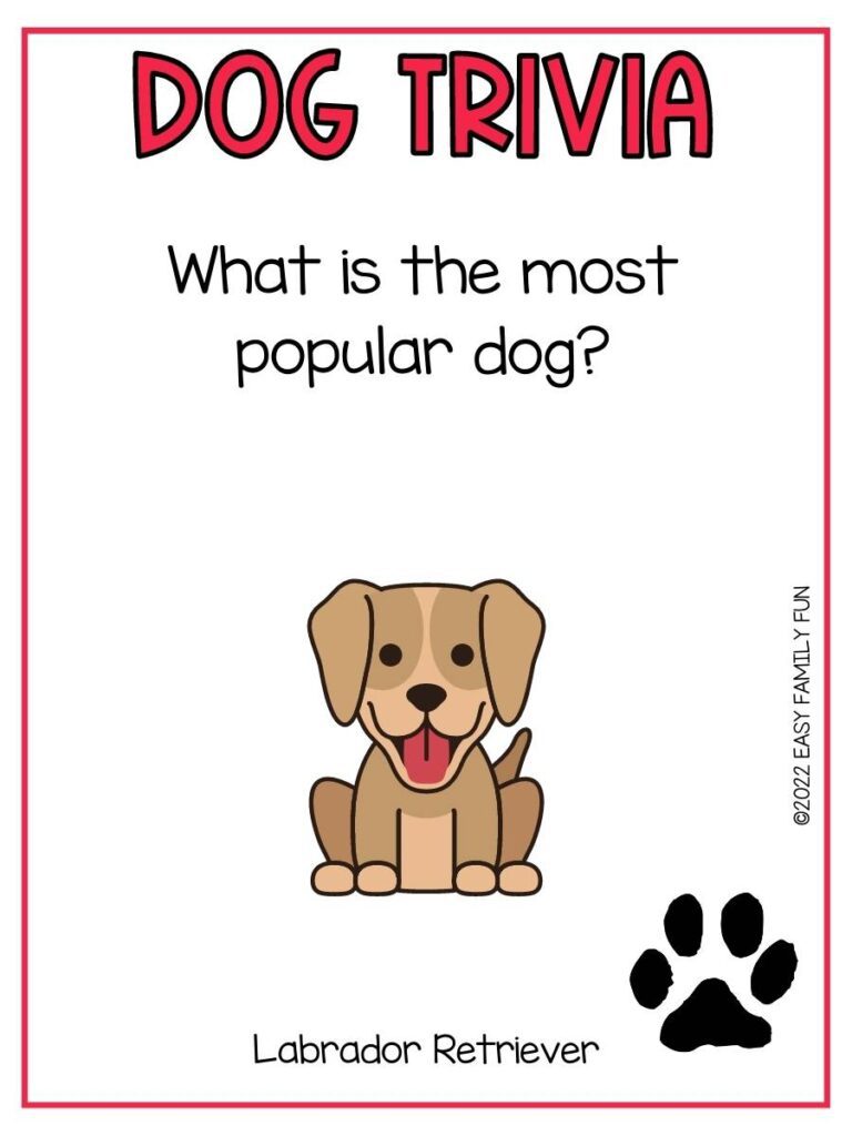 Trivia question with brown dog and black paw print with a red border