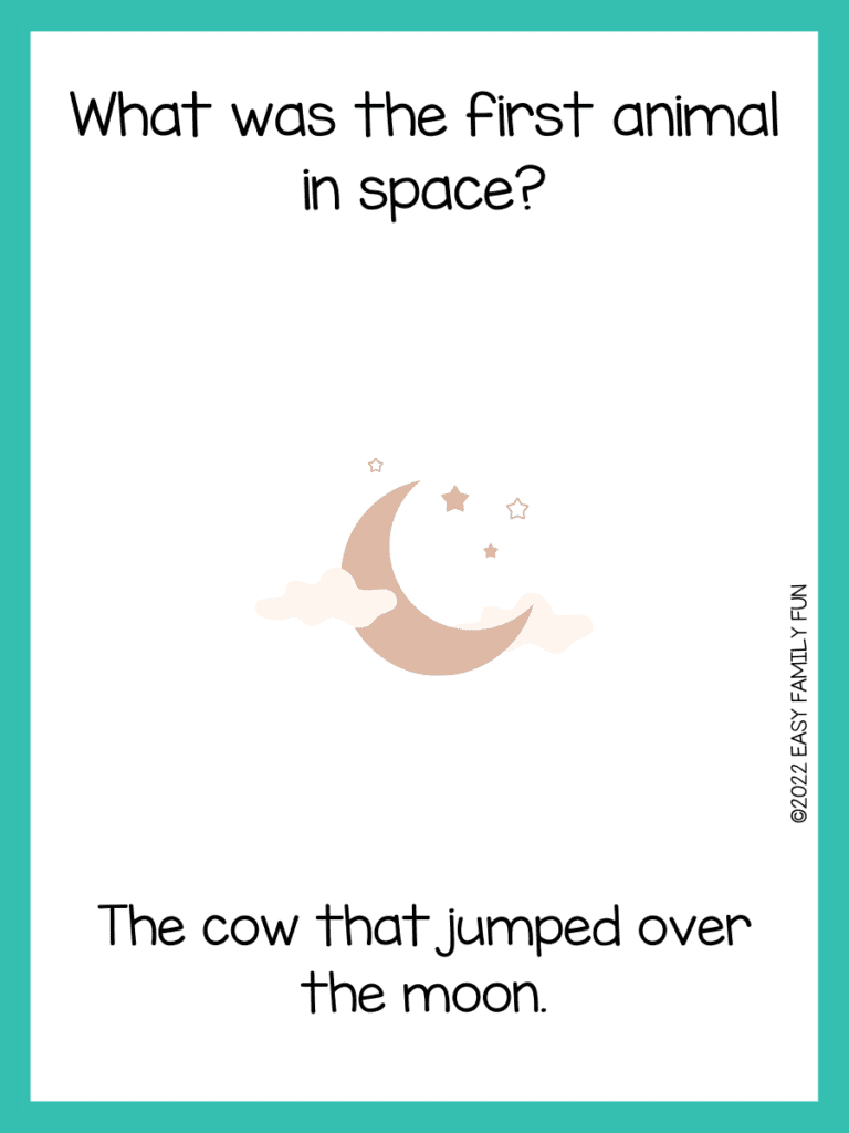 What was the first animal in space? The cow jumped over the moon. Moon riddles for kids. 