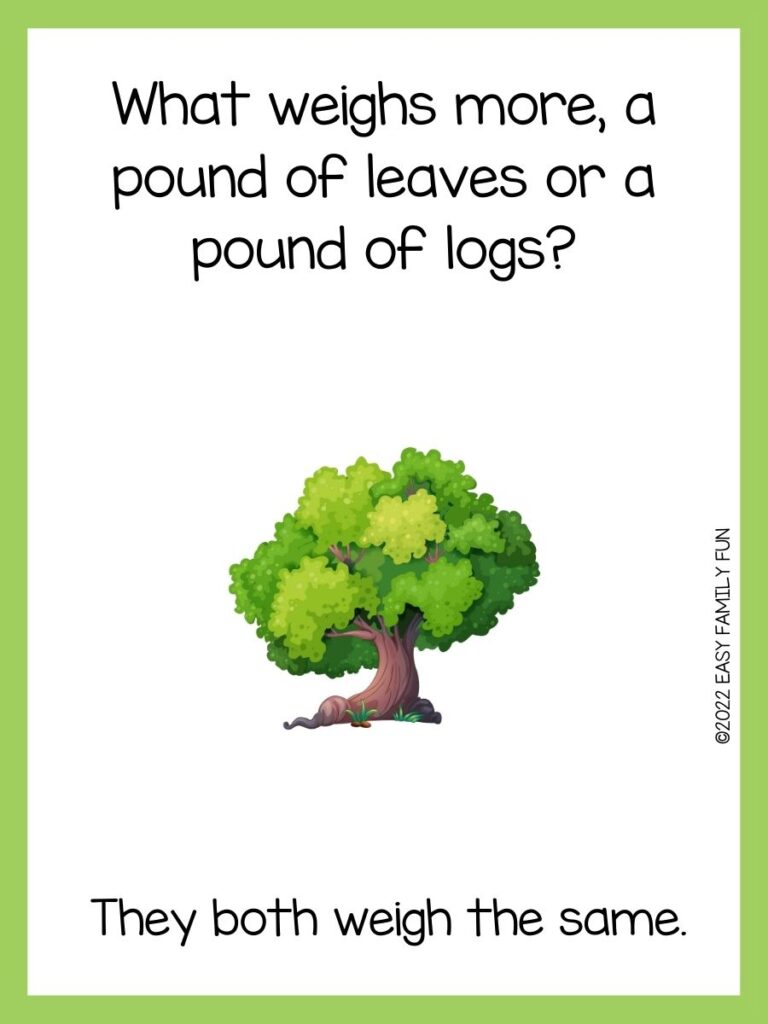 55 Best Tree Riddles With Answers 55 Best Tree Riddles With Answers