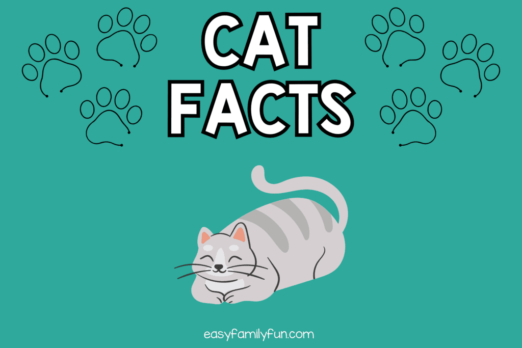 teal background with cat image, cat paw print images, and bold white text stating "Cat Facts"