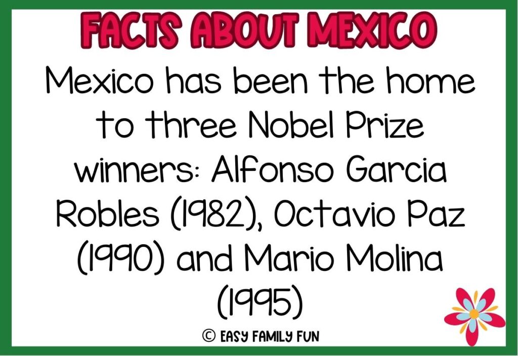 Mexico fact with red, blue, and yellow flower in the corner and green border
