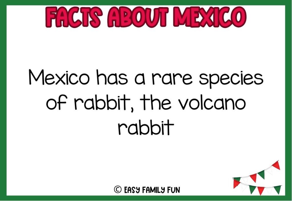 Mexico fact with green and red flag banner in bottom corner and green border.