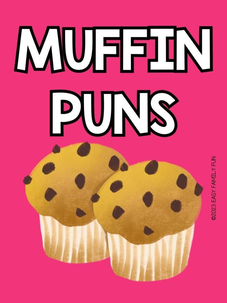 Two chocolate chip muffins on pink background with 'Muffin Puns' text
