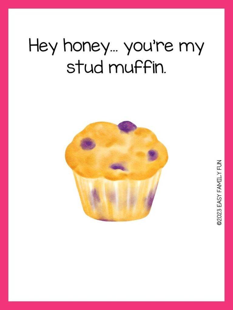 Blueberry muffin on white background with pink border and muffin pun.