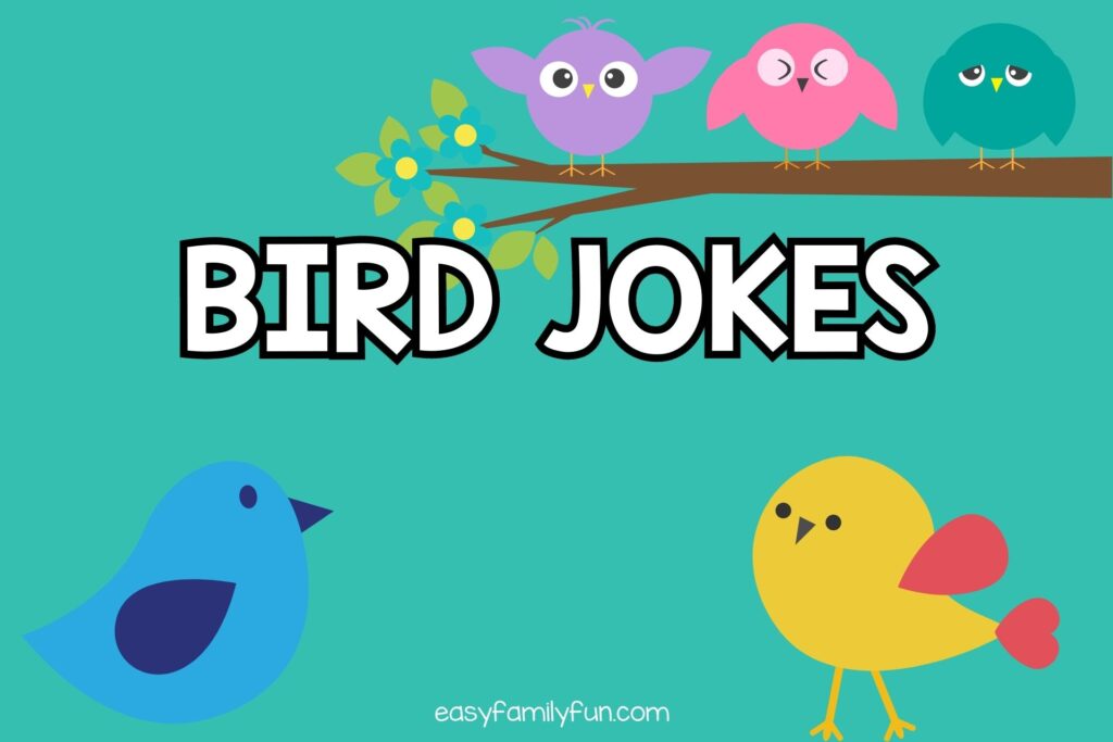 featured image with teal background, bold white text stating "Bird Jokes" and images of birds