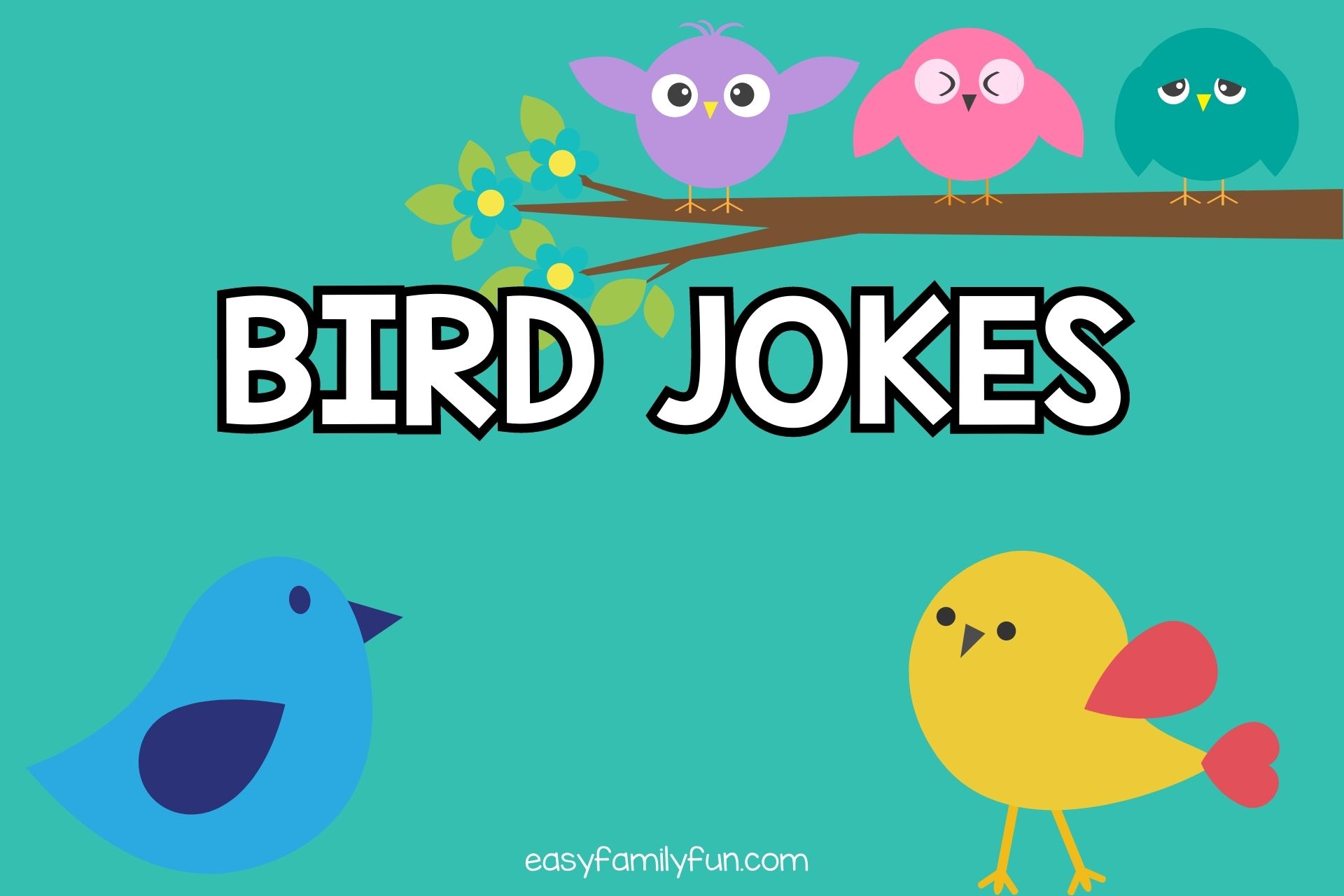 100 Hilarious Bird Jokes To Make You Tweet With Laughter