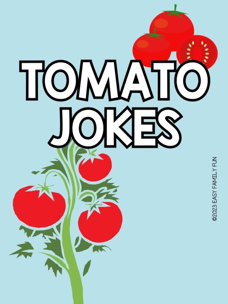 Tomato Jokes title with three tomatoes with one cut in half in the top corner and a tomato plant with three ripe tomatoes on it with a blue background.