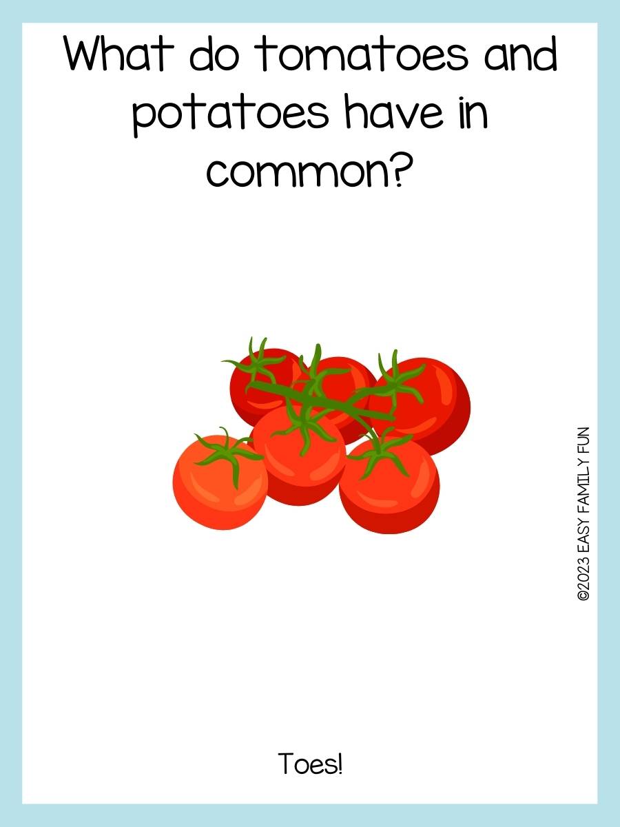 40 Funny Tomato Jokes That Will Make You LOL