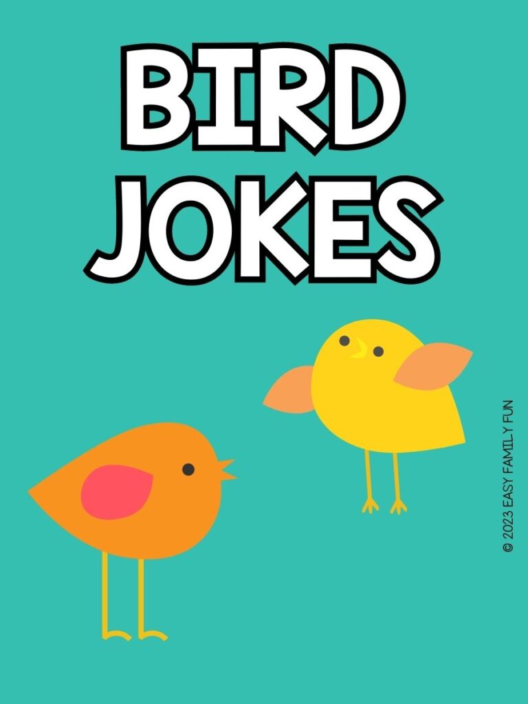 pin image with teal background, bold white text stating "Bird Jokes" and images of birds