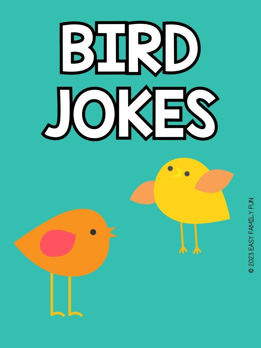 100 Hilarious Bird Jokes To Make You Tweet With Laughter