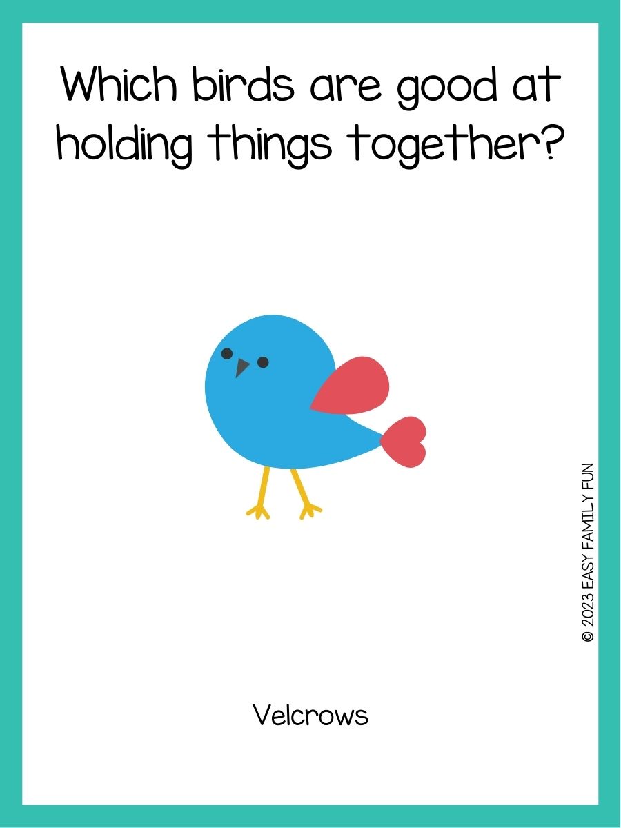 100 Hilarious Bird Jokes To Make You Tweet With Laughter