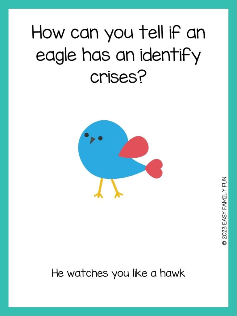 in post image with white background, teal border, text of a bird joke and an image of a bird