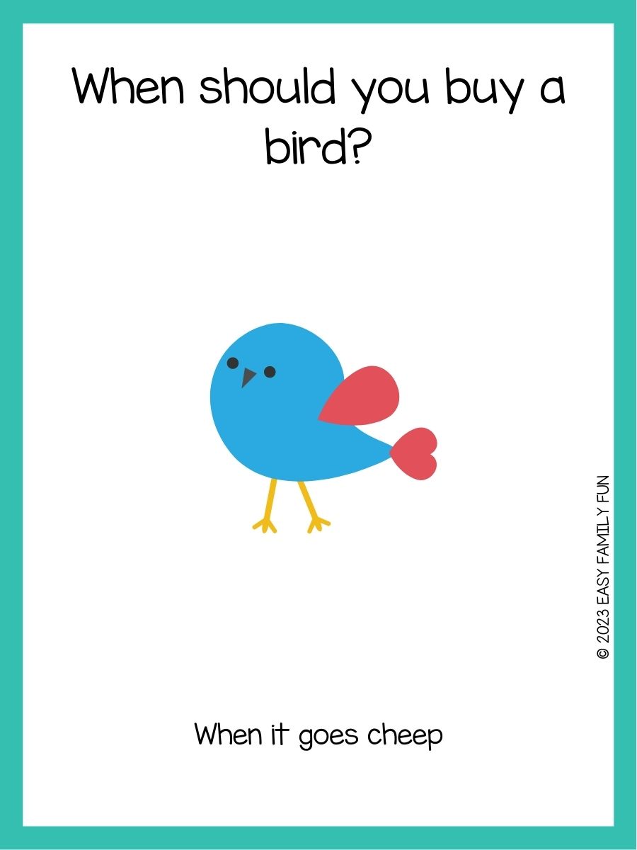100 Hilarious Bird Jokes To Make You Tweet With Laughter