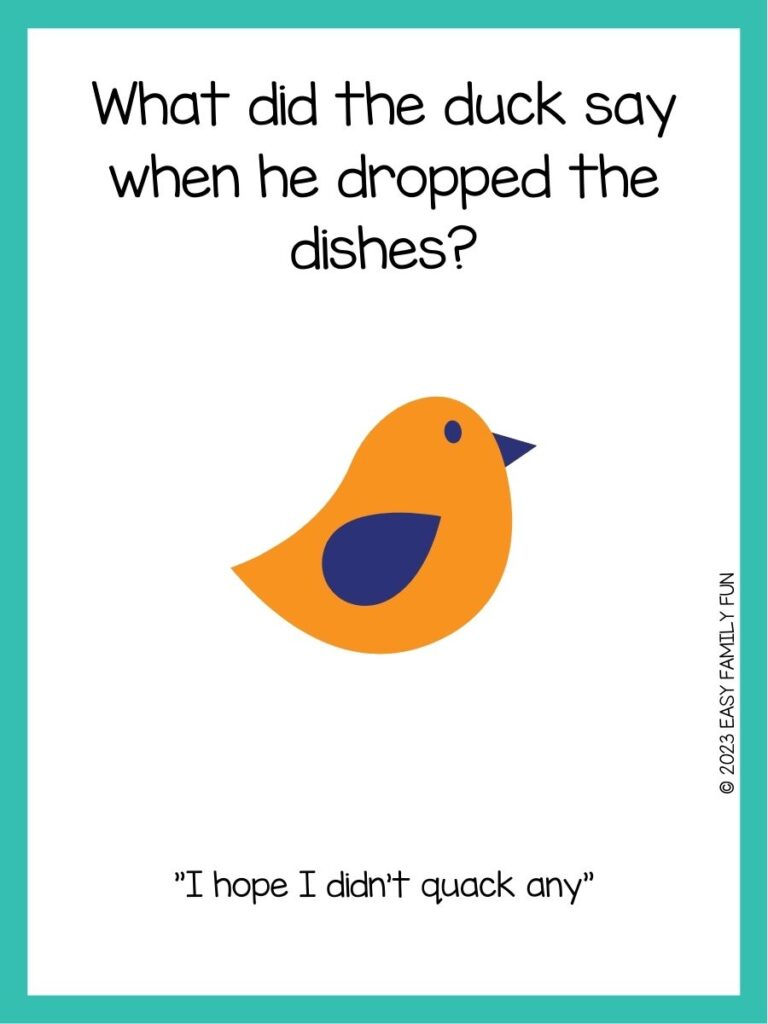 in post image with white background, teal border, text of a bird joke and an image of a bird