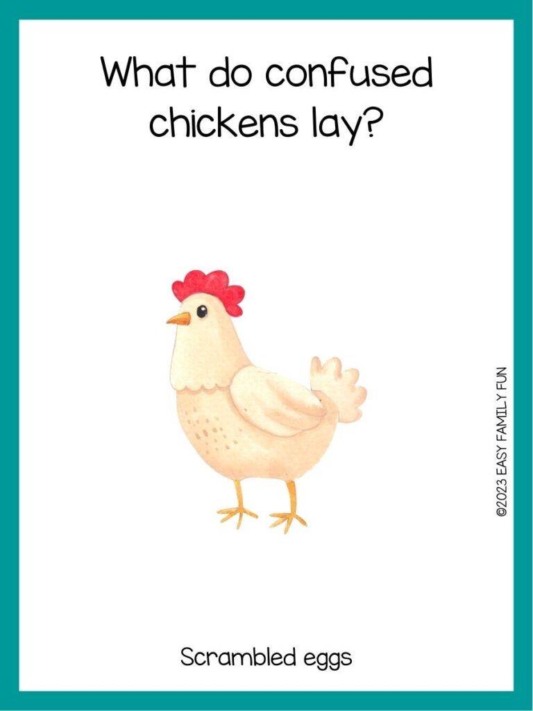 in post image with white background, teal border, text of a chicken joke and an image of a chicken