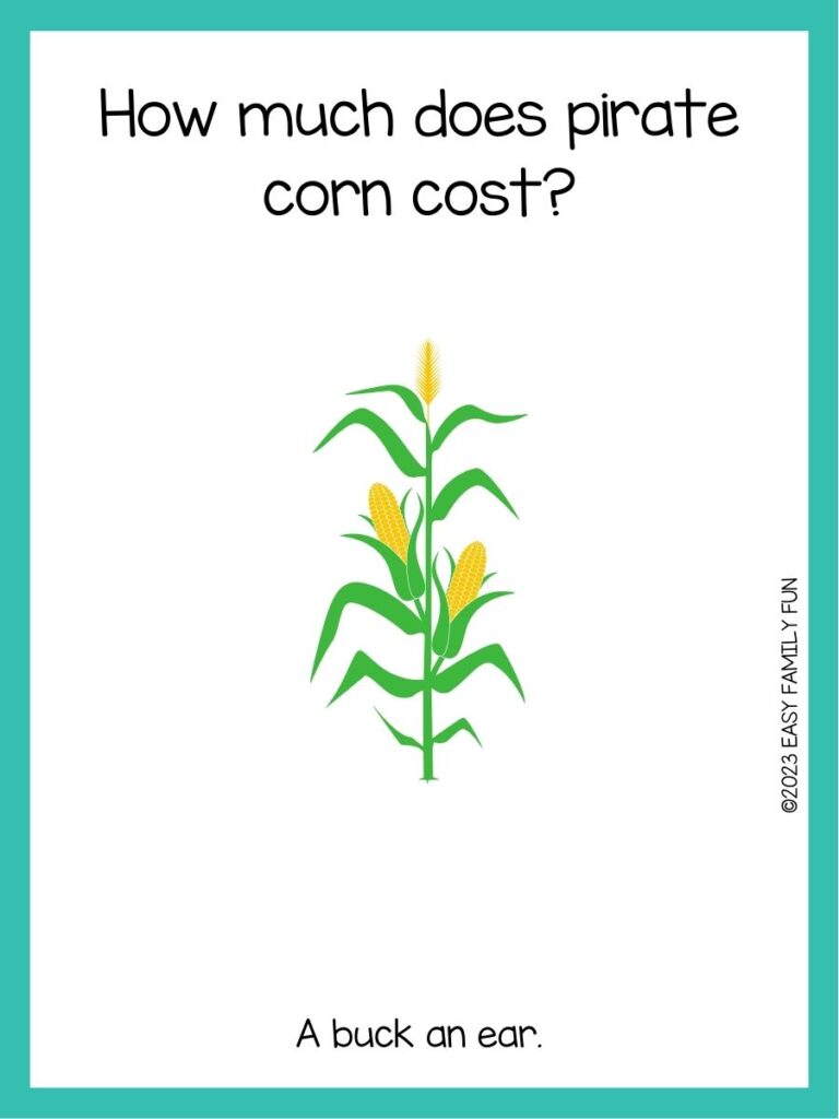 in post image with white background, teal border, text of corn joke and image of corn
