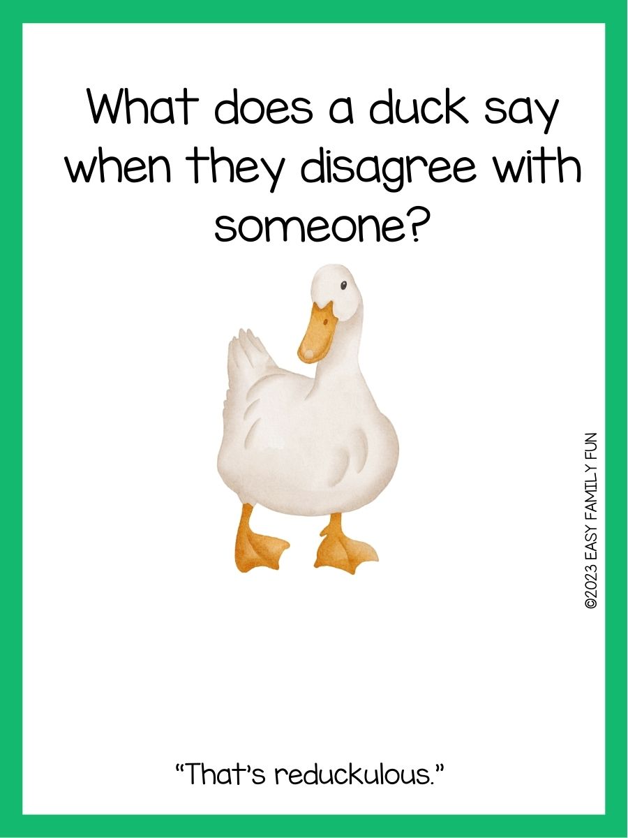 125 Duck Jokes That Make You Quack With Laughs