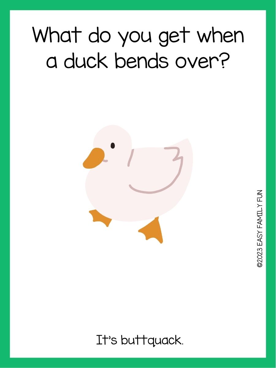 125 Duck Jokes That Make You Quack With Laughs