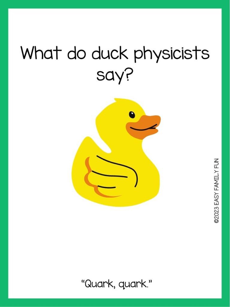 in post image with white background, green border, text of a duck joke, and an image of a duck