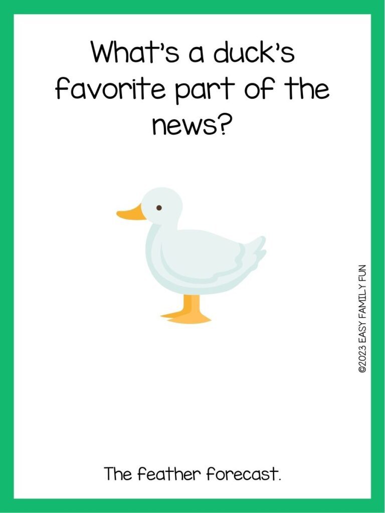 in post image with white background, green border, text of a duck joke, and an image of a duck