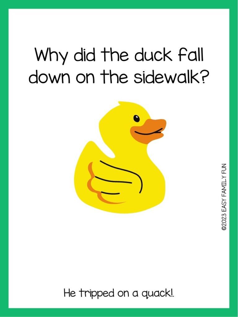 in post image with white background, green border, text of a duck joke, and an image of a duck