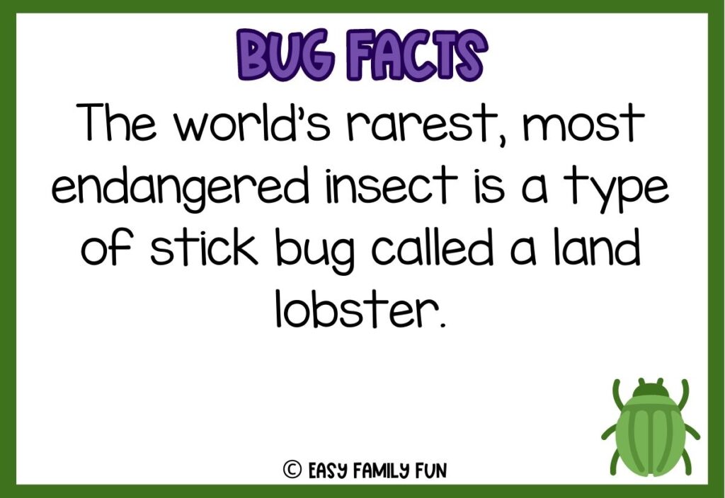 in post image with white background, bold purple text stating "Bug Facts", a bug fact, and an image of a bug