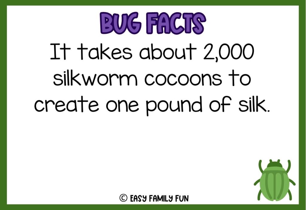 in post image with white background, bold purple text stating "Bug Facts", a bug fact, and an image of a bug