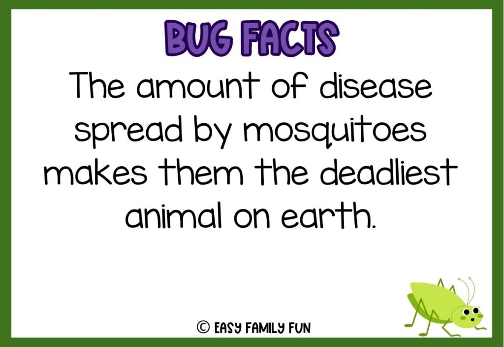 in post image with white background, bold purple text stating "Bug Facts", a bug fact, and an image of a bug