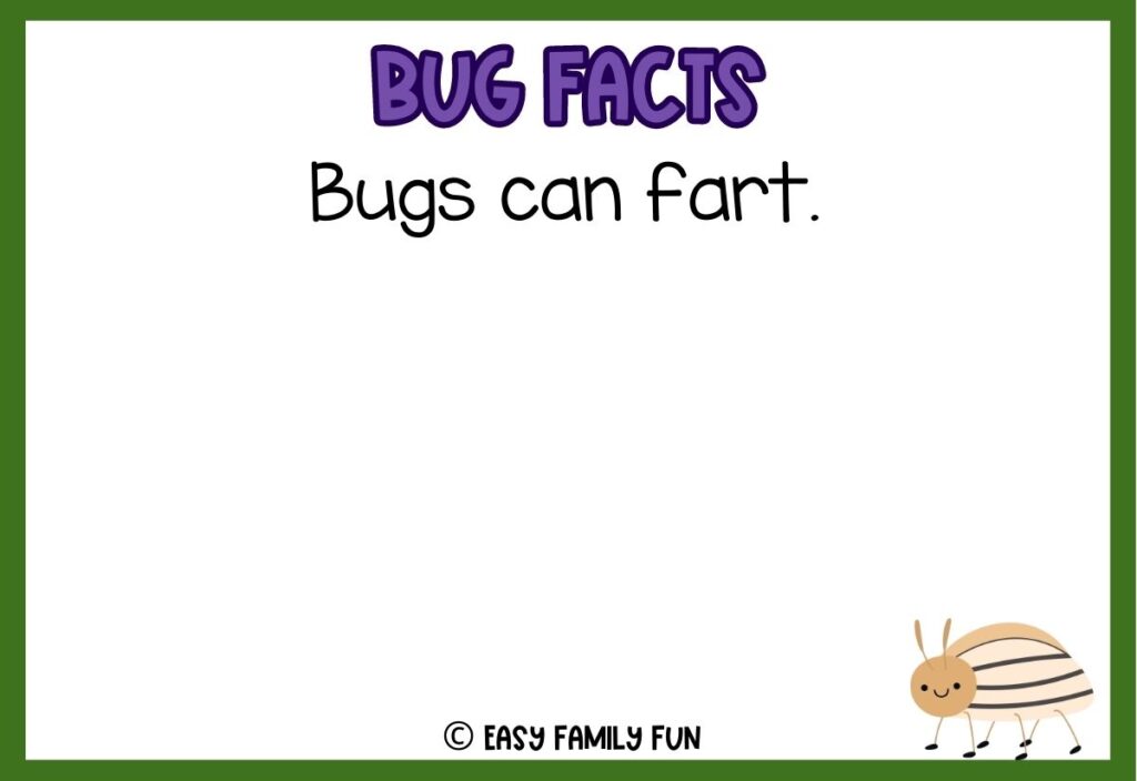 in post image with white background, bold purple text stating "Bug Facts", a bug fact, and an image of a bug