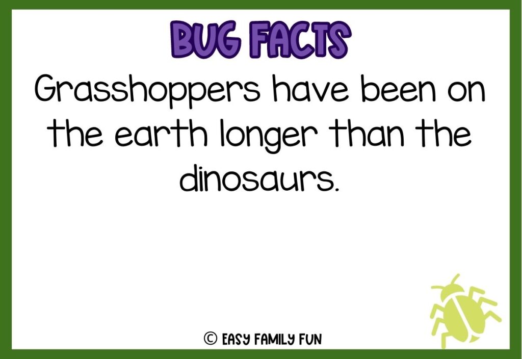 in post image with white background, bold purple text stating "Bug Facts", a bug fact, and an image of a bug