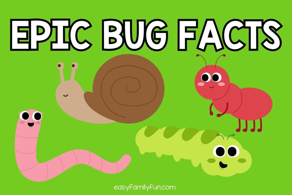 featured image with green background, bold white text stating "Epic Bug Facts" and images of bugs. 