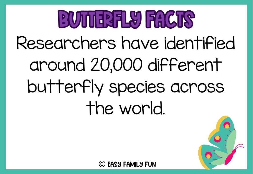 in post image with white background, teal border, bold purple title stating "Butterfly Facts", text of butterfly fact, and image of a butterfly