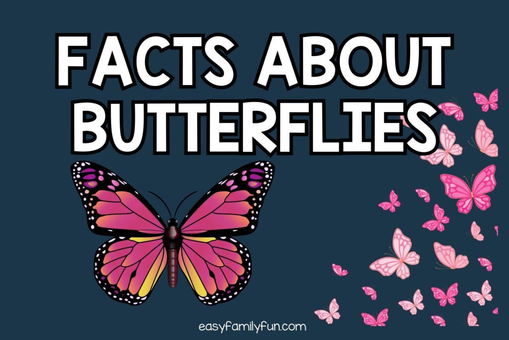 featured image with dark blue background, bold white titles stating "Facts About Butterflies", and images of butterflies