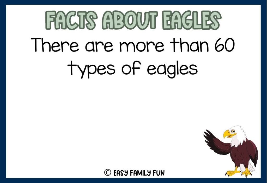 in post image with white background, blue border, grey title stating "Facts About Eagles", text of an eagle fact, and an image of an eagle