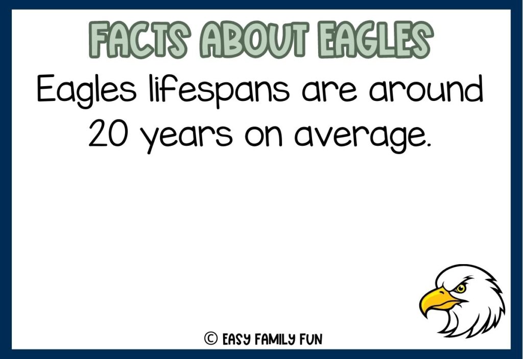 in post image with white background, blue border, grey title stating "Facts About Eagles", text of an eagle fact, and an image of an eagle