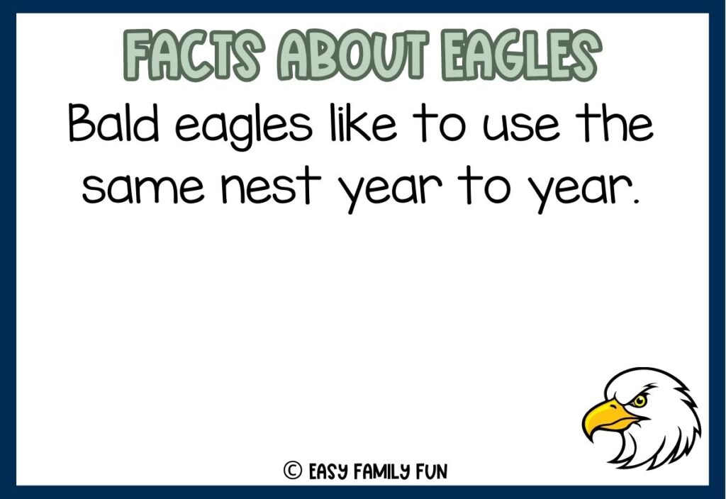 in post image with white background, blue border, grey title stating "Facts About Eagles", text of an eagle fact, and an image of an eagle