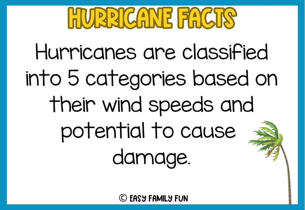 In post image with white background, blue border, bold yellow title stating "Hurricane Facts", an image of a tree blowing in the wind, and a hurricane fact. 