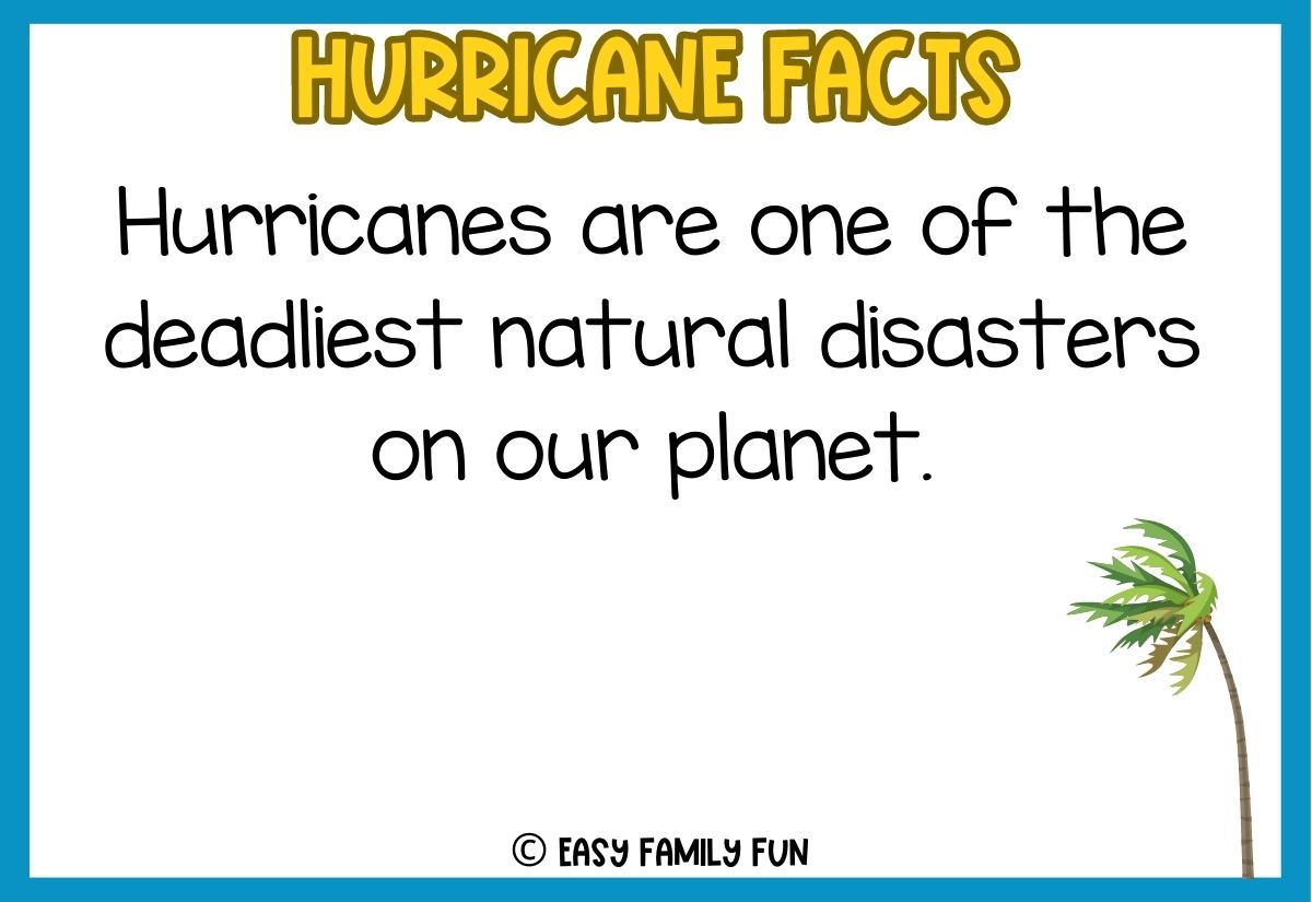 100 Interesting Facts About Hurricanes